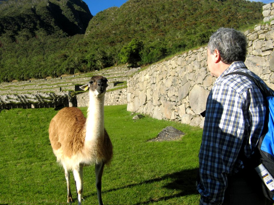 20 Machupichu 033