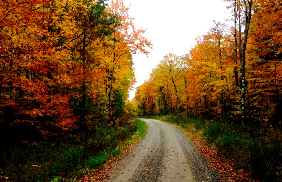 Forest Service Road 8395