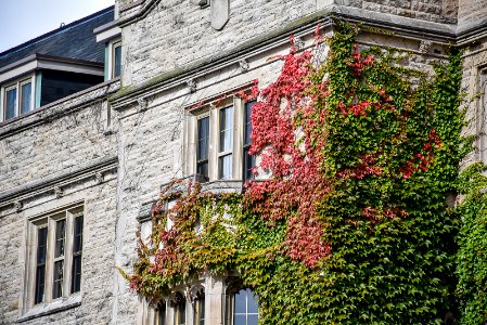 Johnston Hall