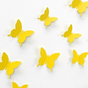 Color paper decoration colorful