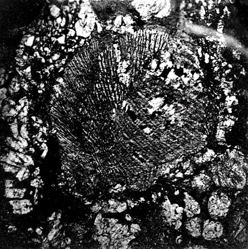 Table 13 - Figure 5