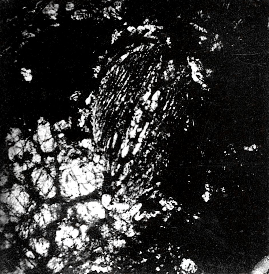 Table 21 - Figure 5