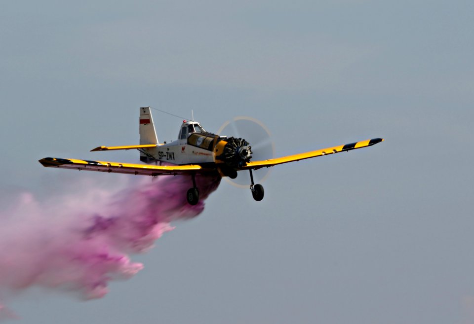 728A4684-crop filtered