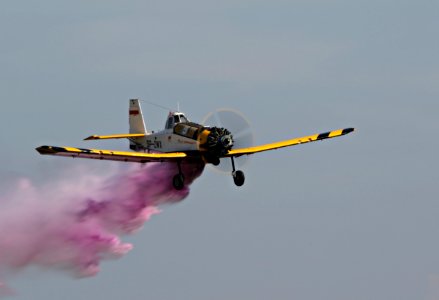 728A4684-crop filtered