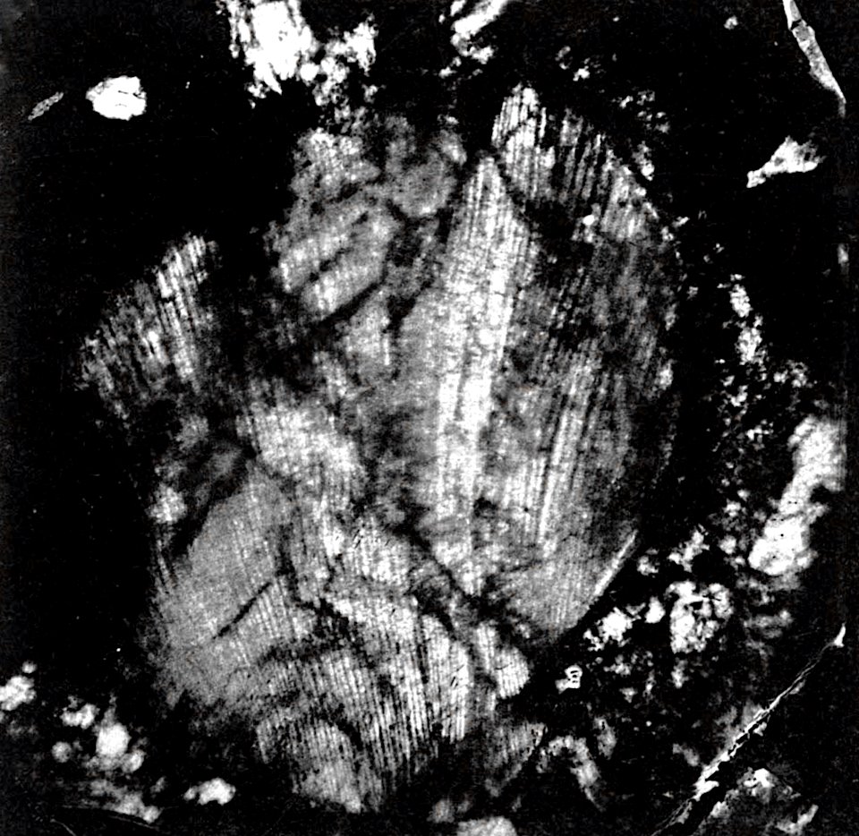 Table 10 - Figure 5