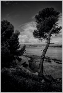 2017-09 Cannes-052-20170919