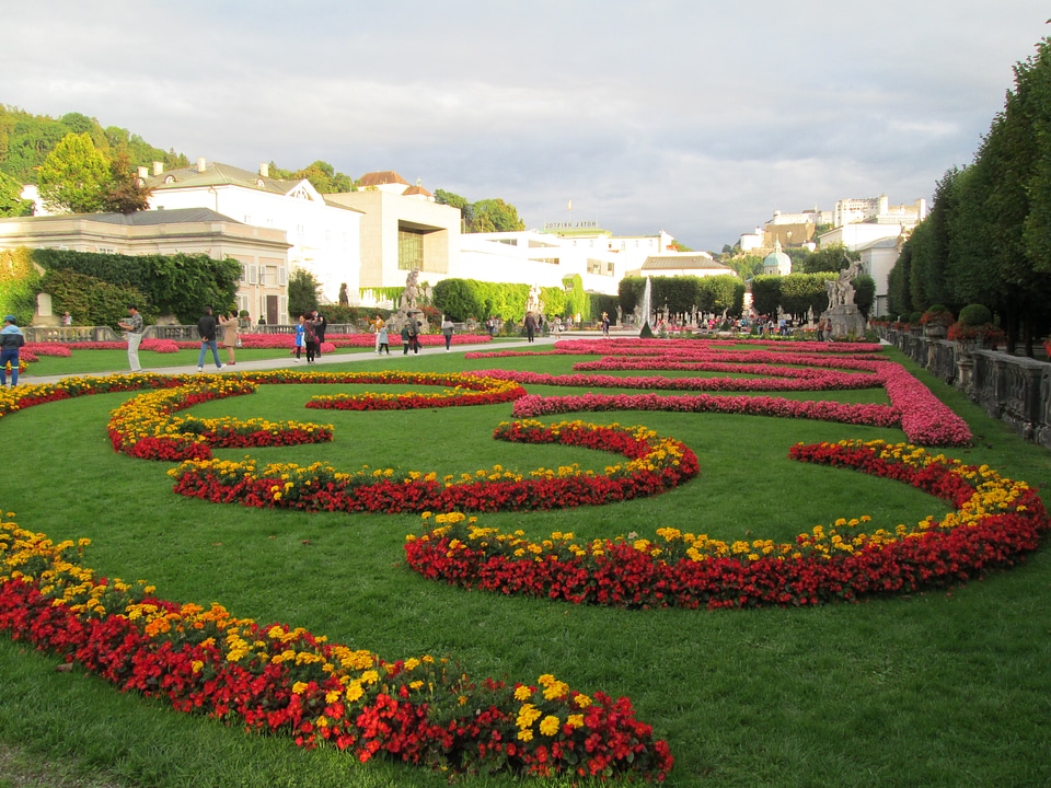 Arc summer flower garden