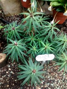 Botanical Garden