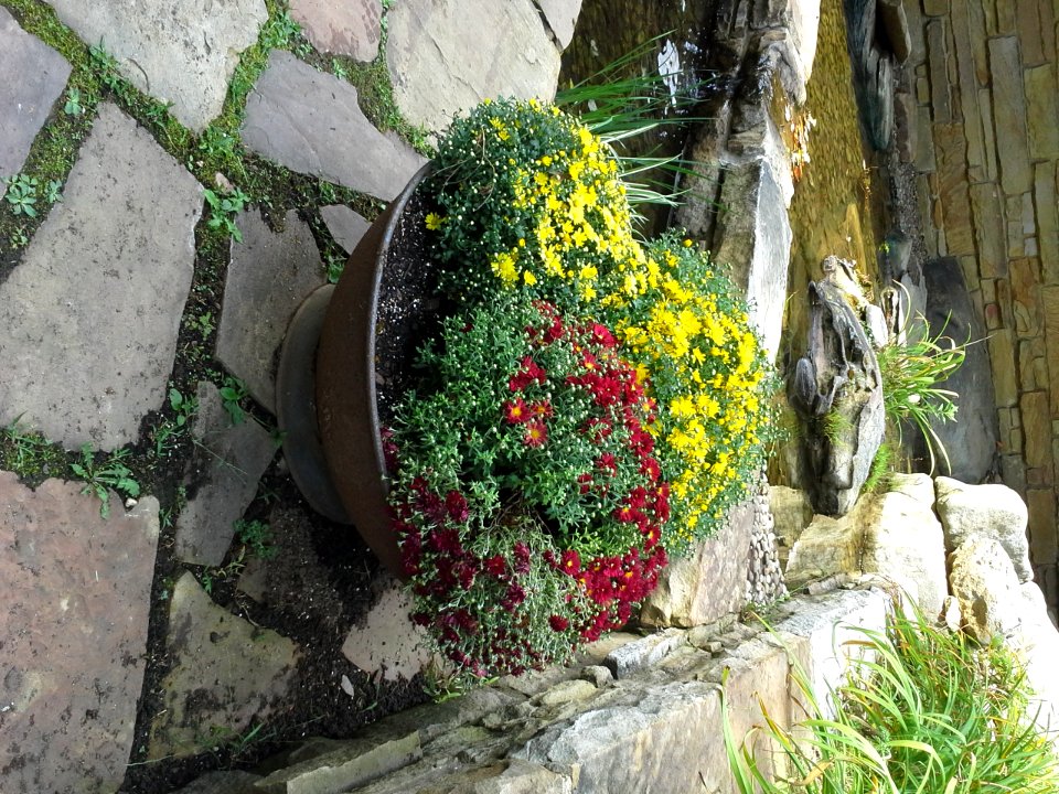 Kentuck Knob Patio Flowers