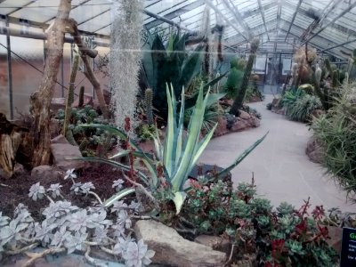 Botanical Garden