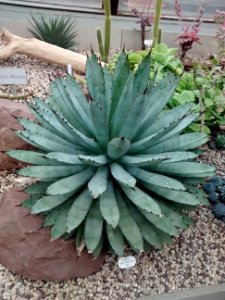 Botanical Garden