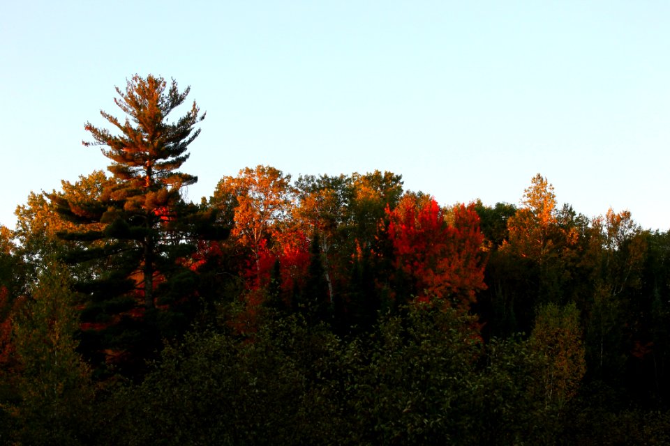171004-FS-Ottawa-RE-037