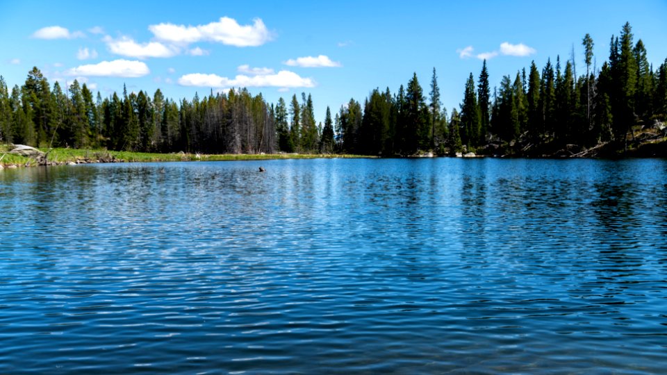 Trapper Lake