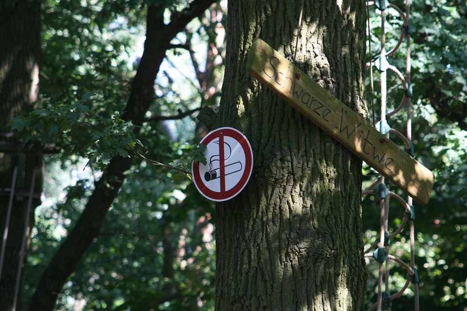 Climbing forest climbing garden smoking