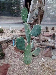 Botanical Garden