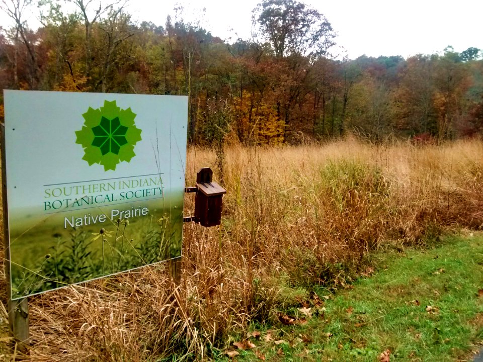 Native Prairie (Southern Indiana)