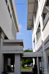 Rektorat Universitas Negeri Malang