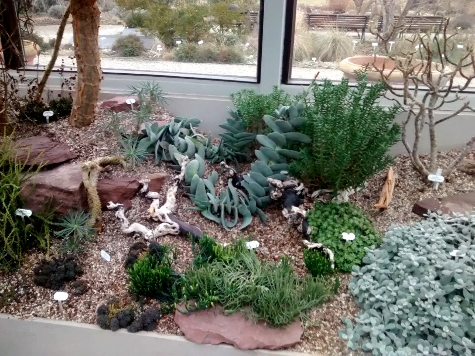 Botanical Garden