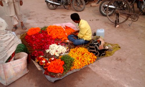 Allahabad Flower Seller