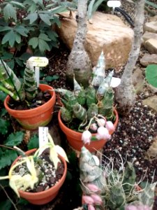 Botanical Garden