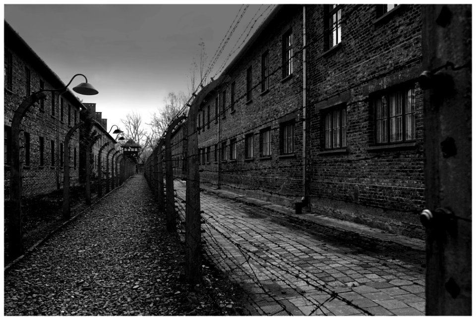 2016-11 Auschwitz- 06-20161111