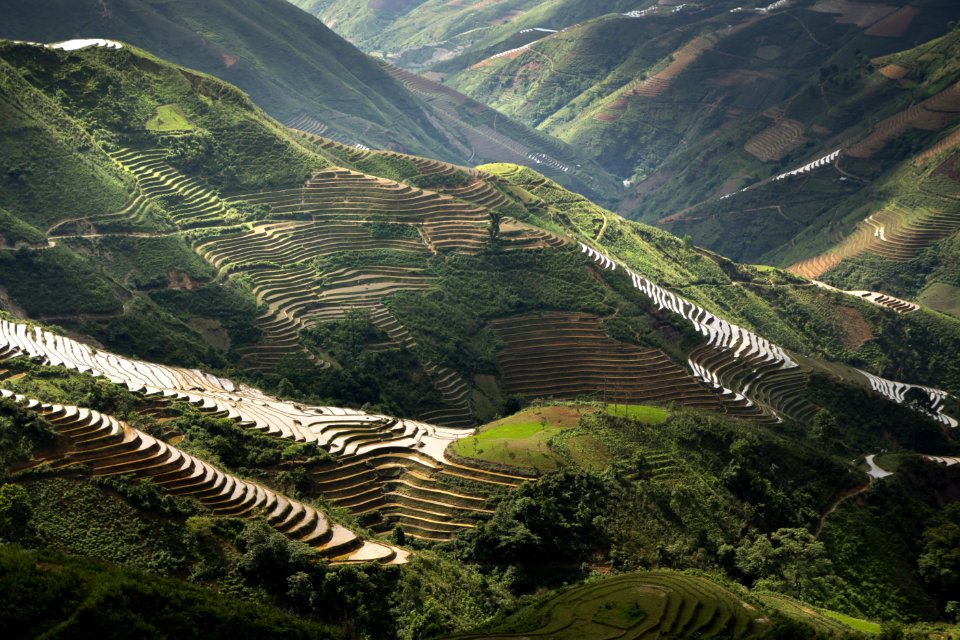 Terraced paddy fields, Sonla, Vietnam