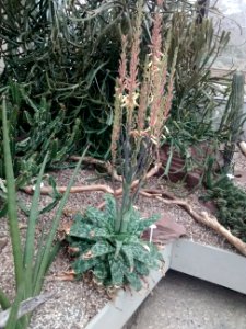 Botanical Garden