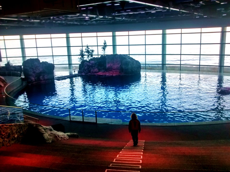 Aquarium