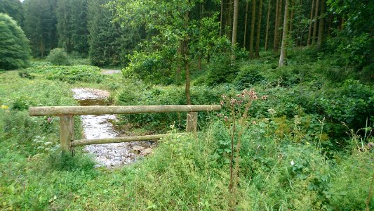 Harz mountains photo