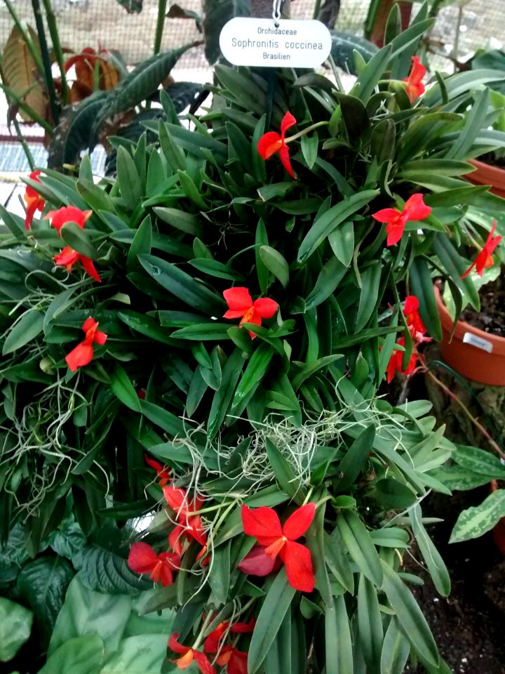 Botanical Garden