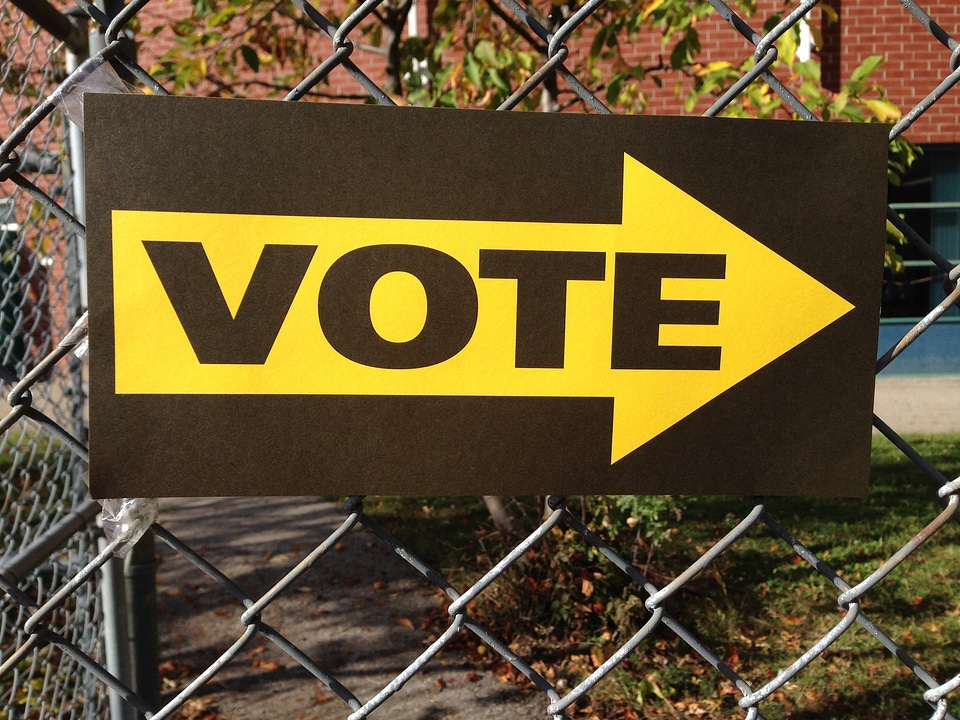 Choice election democracy