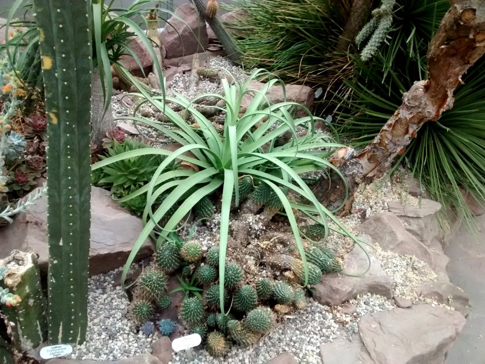 Botanical Garden