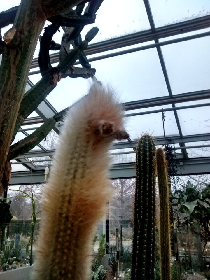 Botanical Garden