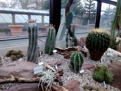 Botanical Garden