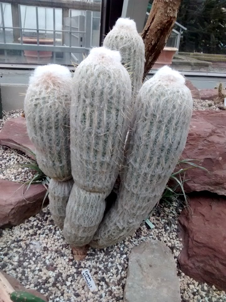 Botanical Garden