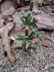 Botanical Garden