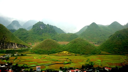 Tay Bac paddy fields, Ha-Giang, Vietnam photo