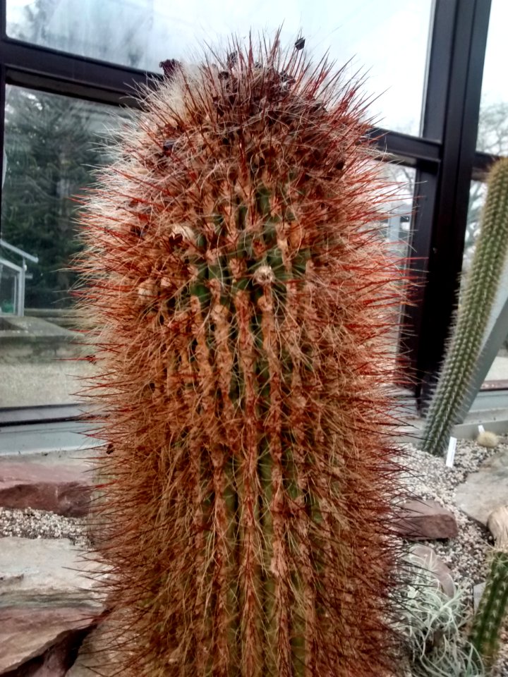 Botanical Garden