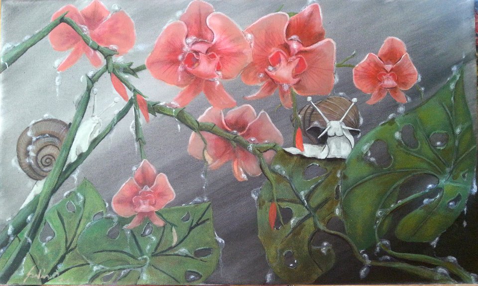 life in the undergrowth