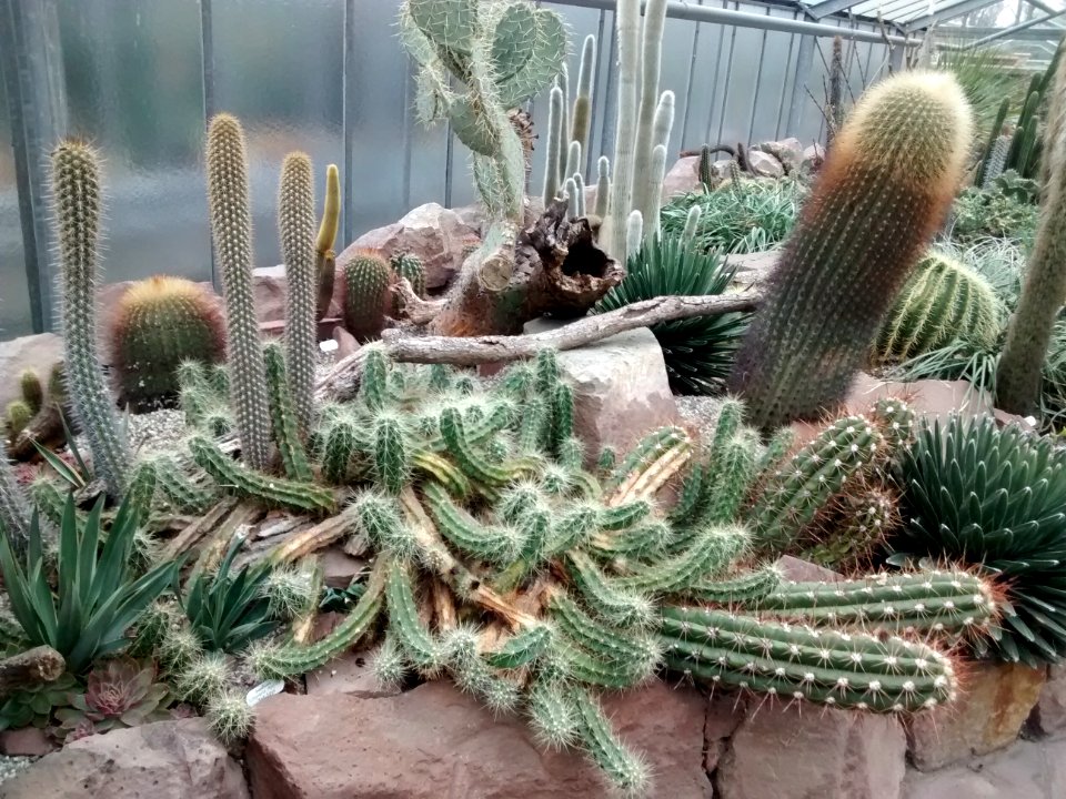 Botanical Garden