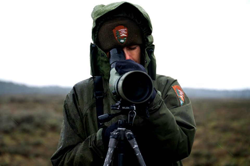 Ranger looking through spotting scope