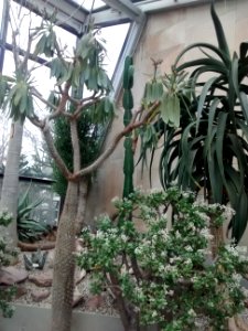 Botanical Garden