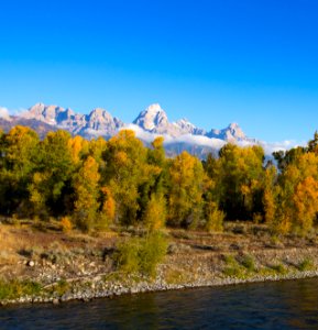 Autumn on the Snake River at Moose