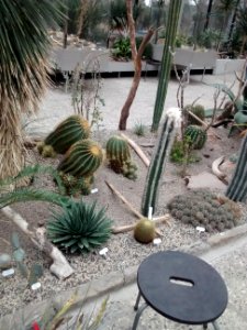 Botanical Garden