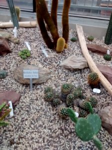 Botanical Garden