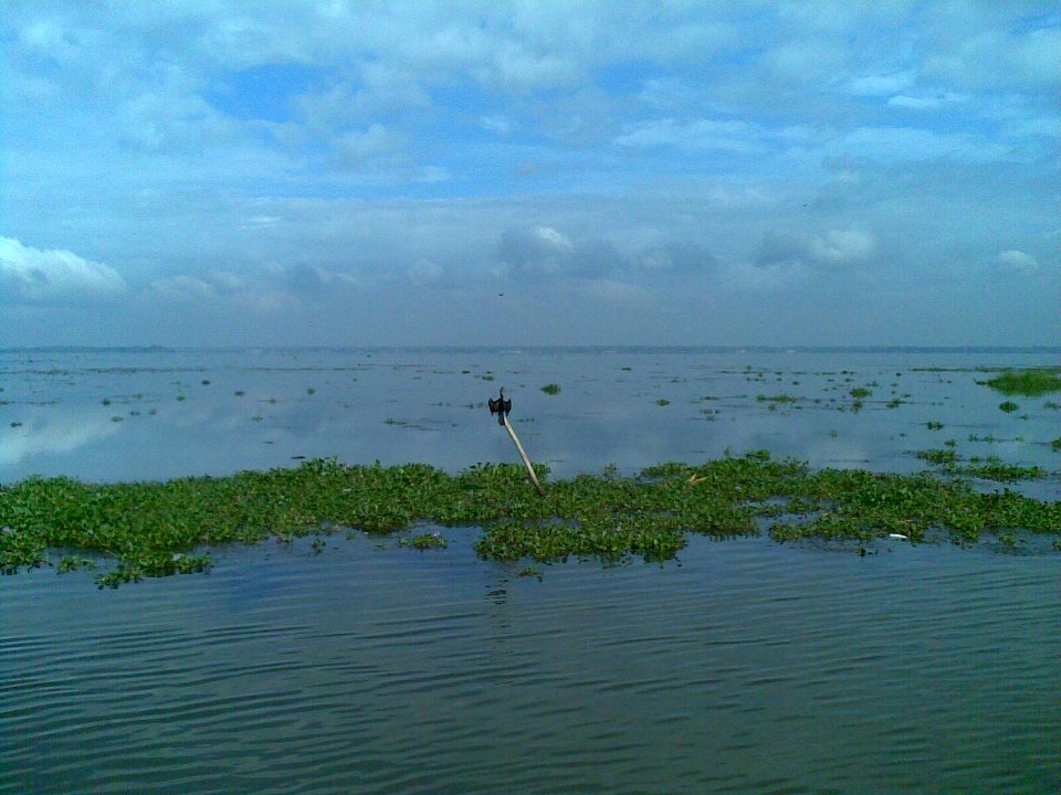 Kumarakam 2008, Nokia 6110 Navigator