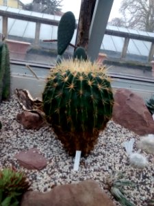 Botanical Garden