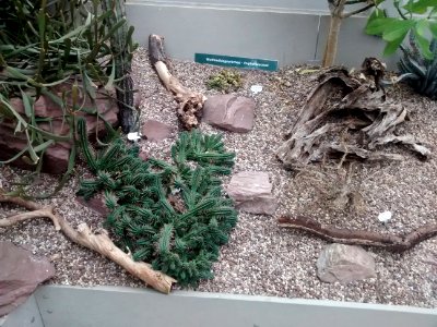 Botanical Garden