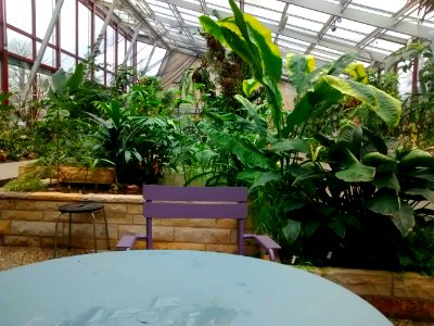 Botanical Garden
