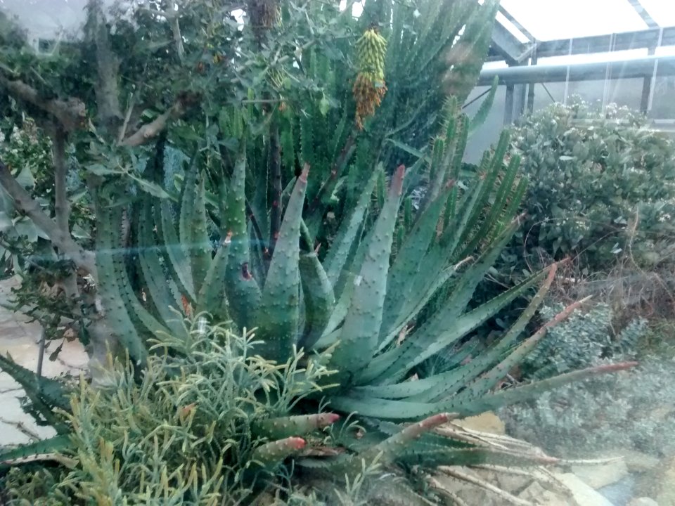 Botanical Garden